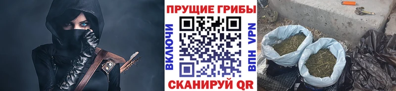 Купить где  Азов  Псилоцибиновые грибы прущие грибы 